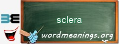 WordMeaning blackboard for sclera